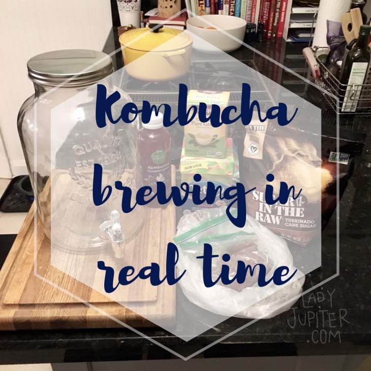 Lady Jupiter makes her first fermented tea #milblogger #kombucha