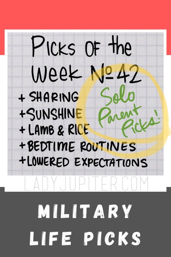 Picks №42 are a reflection upon the part of our military lives that force one parent to do the work of two. #LadyJupiter #PicksOfTheWeek #milspouse #soloparenting #milblogger